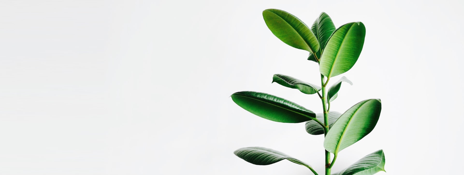 Event background image